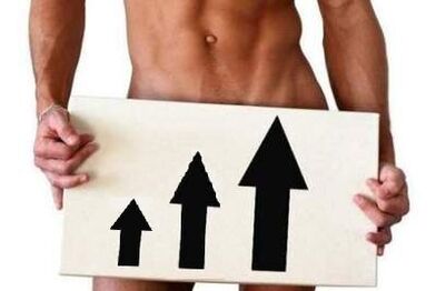 Enlargement of penis size