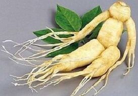 Ginseng root to perform infusion