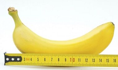 The optimal penis size